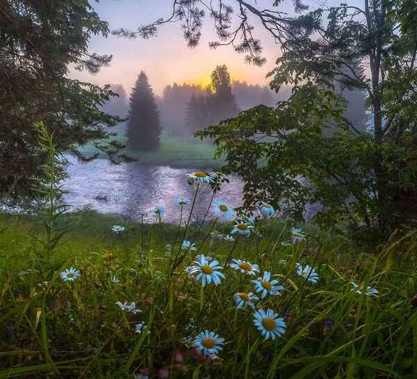 Paisaje natural con luz suave y ambiente tranquilo